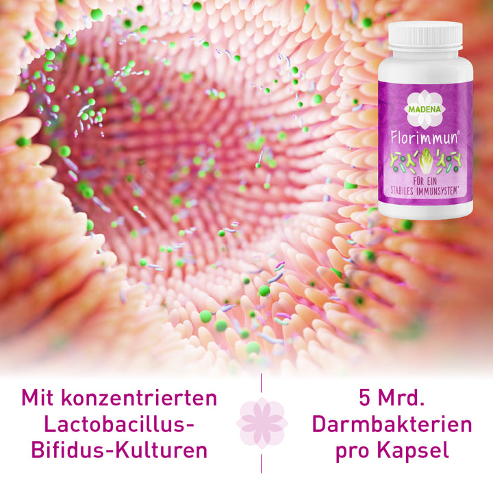 Darmkur nach Antibiotika: Florimmun® Kapseln