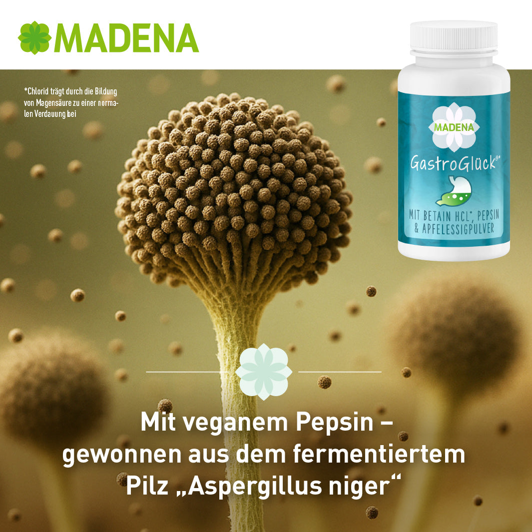 magensäure erhöhen