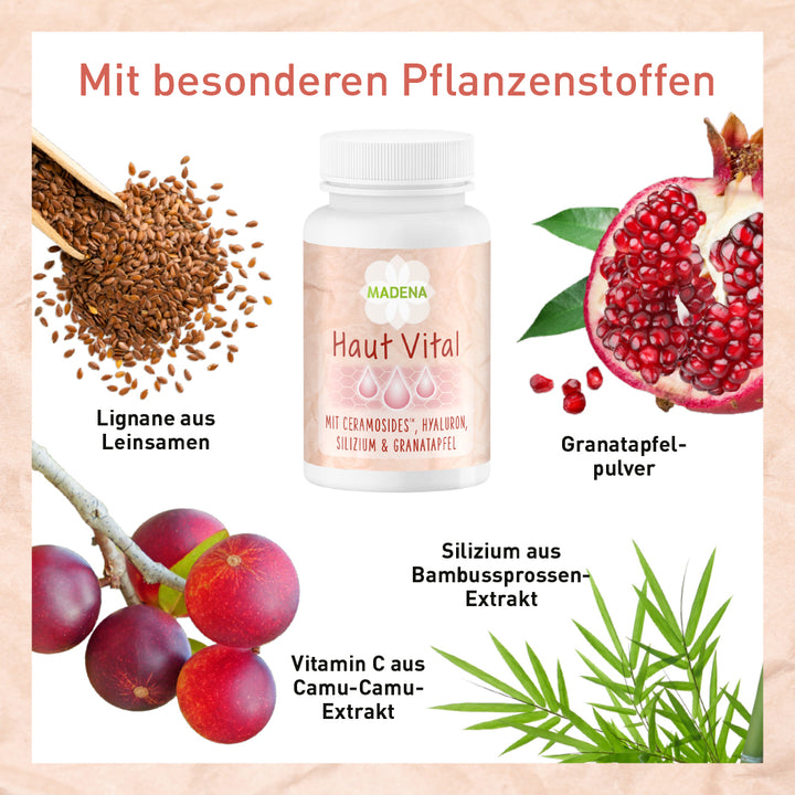 Hautvitamin-Komplex mit Ceramiden, Hyaluronsäure, Pflanzen &amp; Mineralstoffe