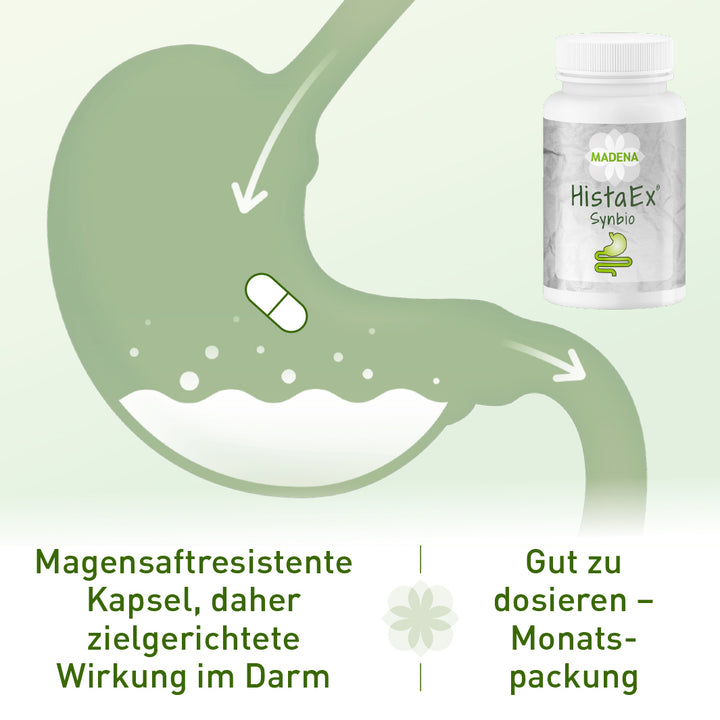 HistaEx® Synbio: Histaminfreie Darmbakterien