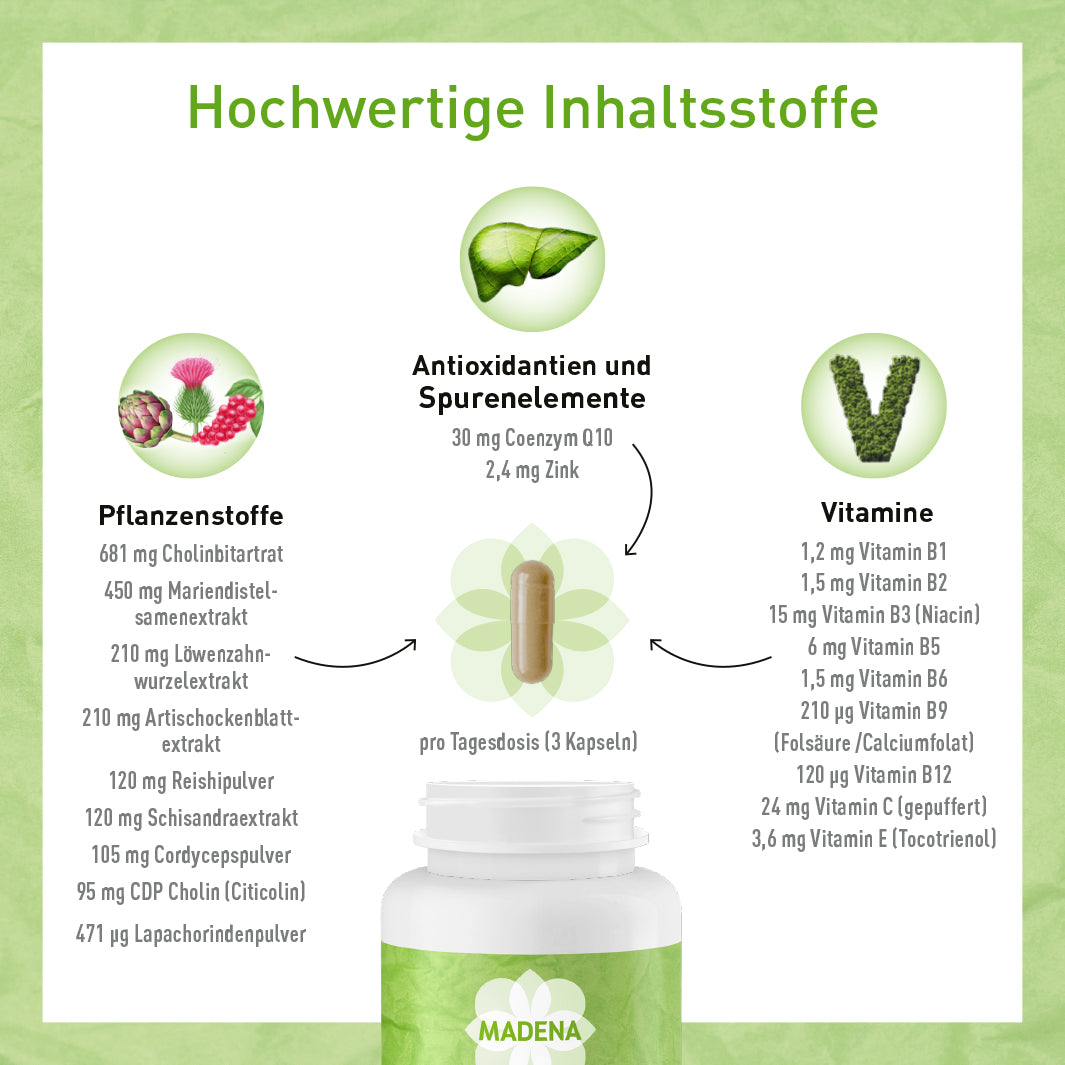 Leberkomplex* mit Cholin, Artischocke, Mariendistel, Pflanzen & B-Vitaminen