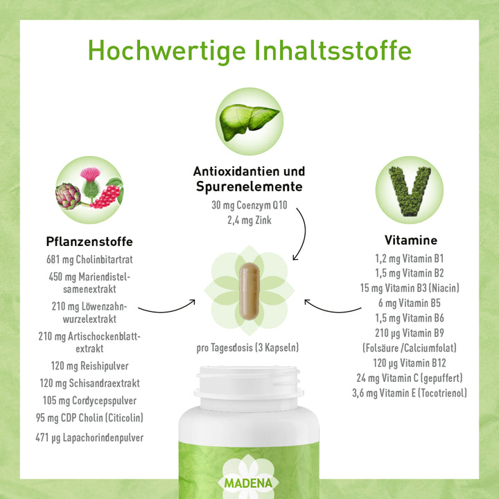Leberkomplex* mit Cholin, Artischocke, Mariendistel, Pflanzen &amp; B-Vitaminen