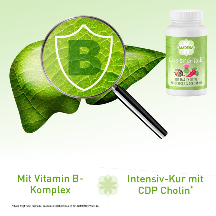 Leberkomplex* mit Cholin, Artischocke, Mariendistel, Pflanzen &amp; B-Vitaminen