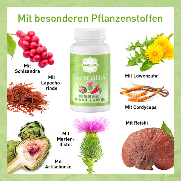 Leberkomplex* mit Cholin, Artischocke, Mariendistel, Pflanzen &amp; B-Vitaminen