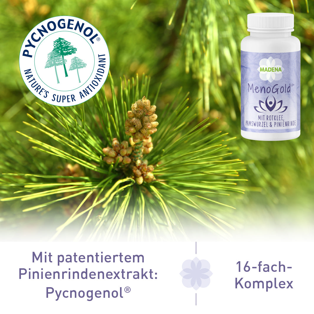 MenoGold® Kapseln*