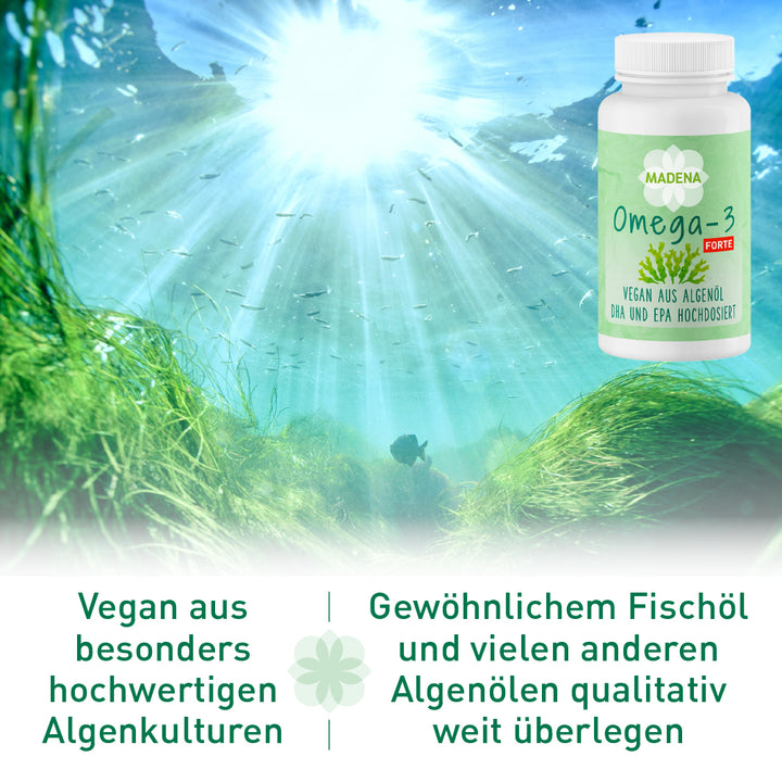 Omega 3 vegan: Hochdosiert aus Algenöl