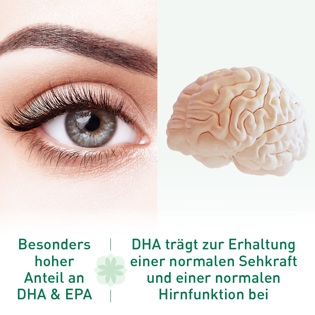 Omega 3 vegan: Hochdosiert aus Algenöl