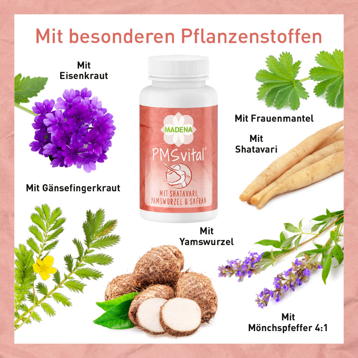 PMS-Kapseln* PMSvital®*
