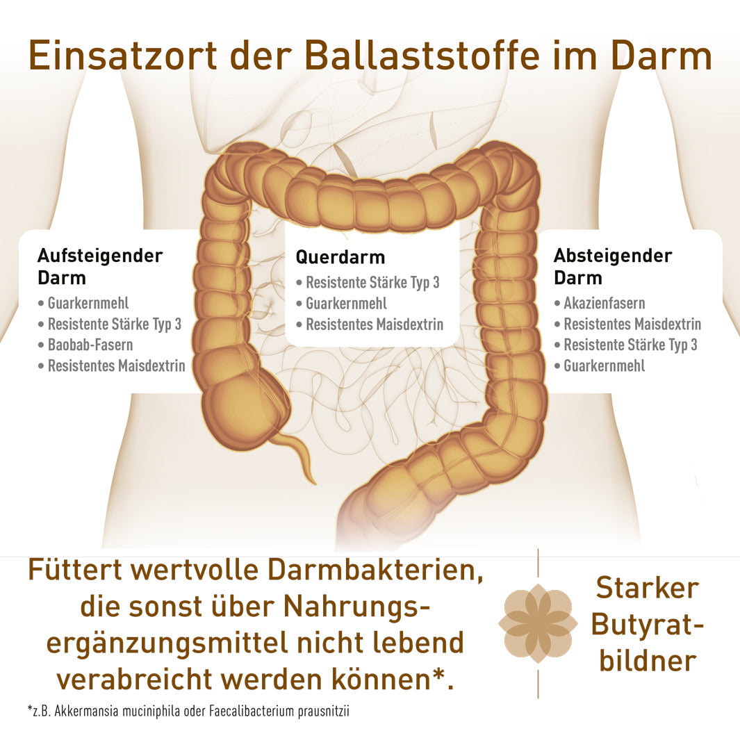 Ballaststoffpulver mit Guarkernmehl, Baobabpulver, Akazienfasern &amp; Co.