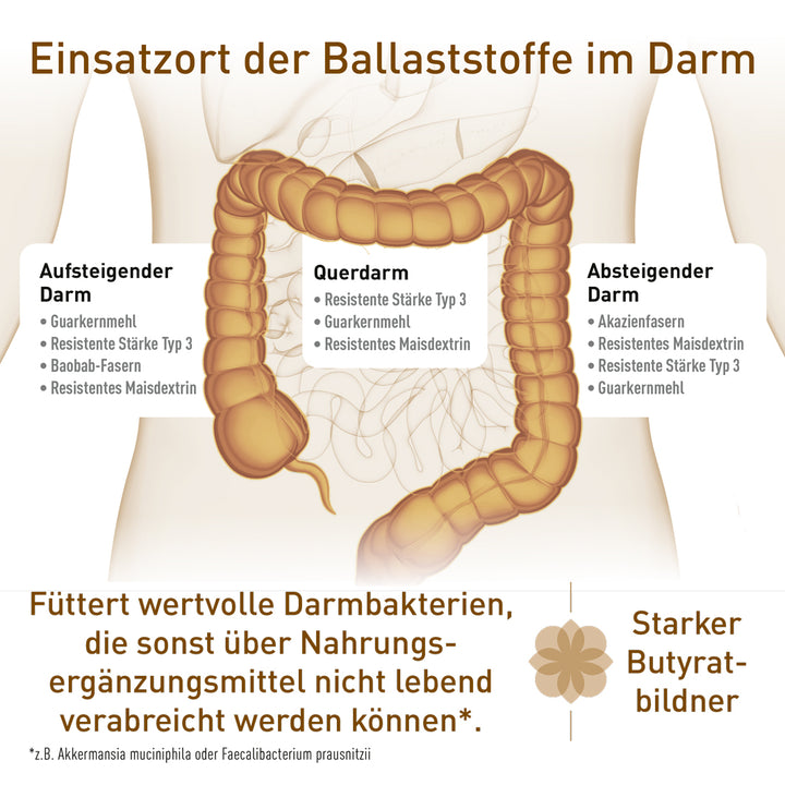 Ballaststoffpulver mit Guarkernmehl, Baobabpulver, Akazienfasern &amp; Co.