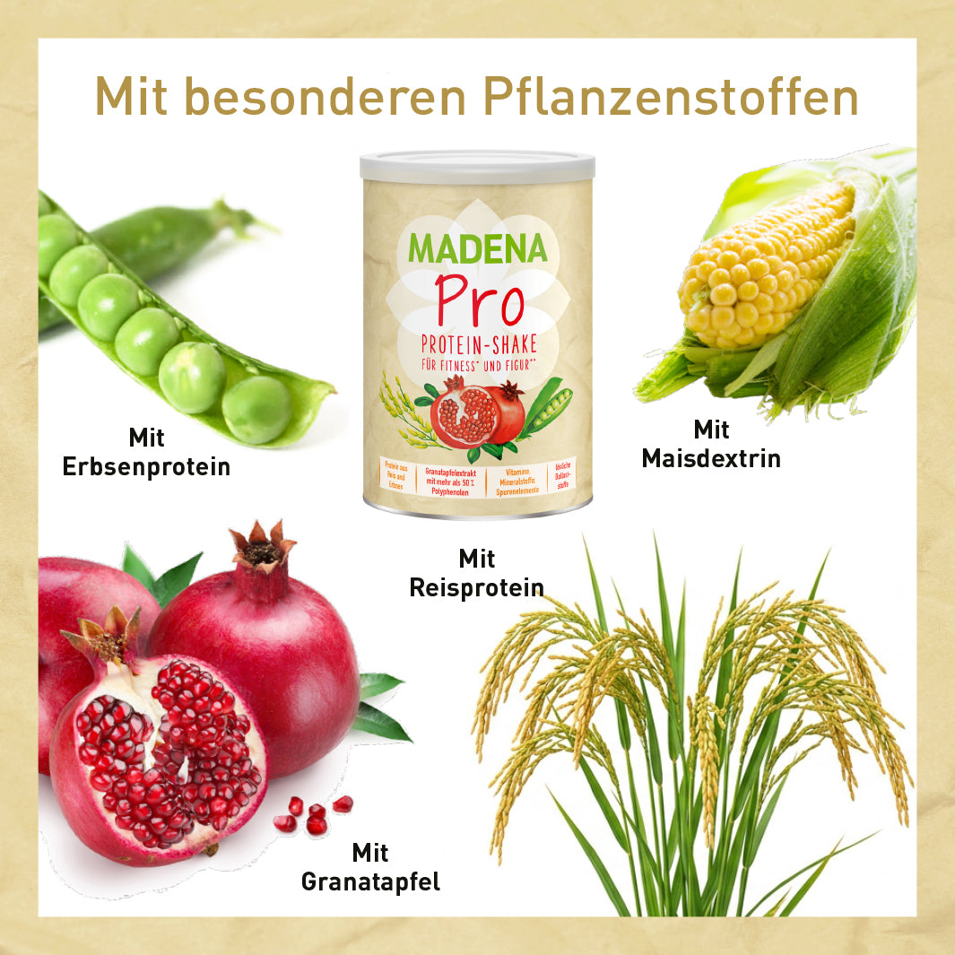 Proteinshake: vegan, gesund & hypoallergen