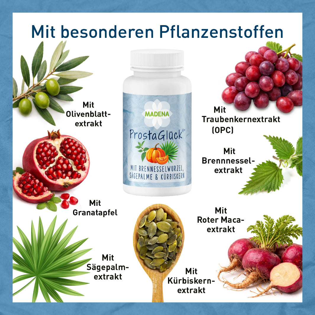 Prostata-Komplex: ProstaGlück®*