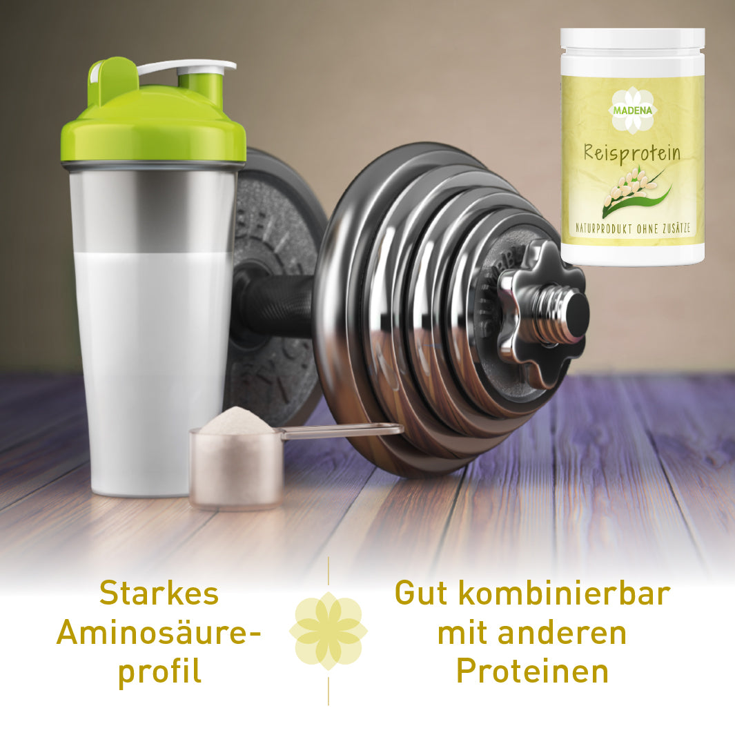 Reisprotein: Hoher Eiweißgehalt & starkes Aminosäureprofil