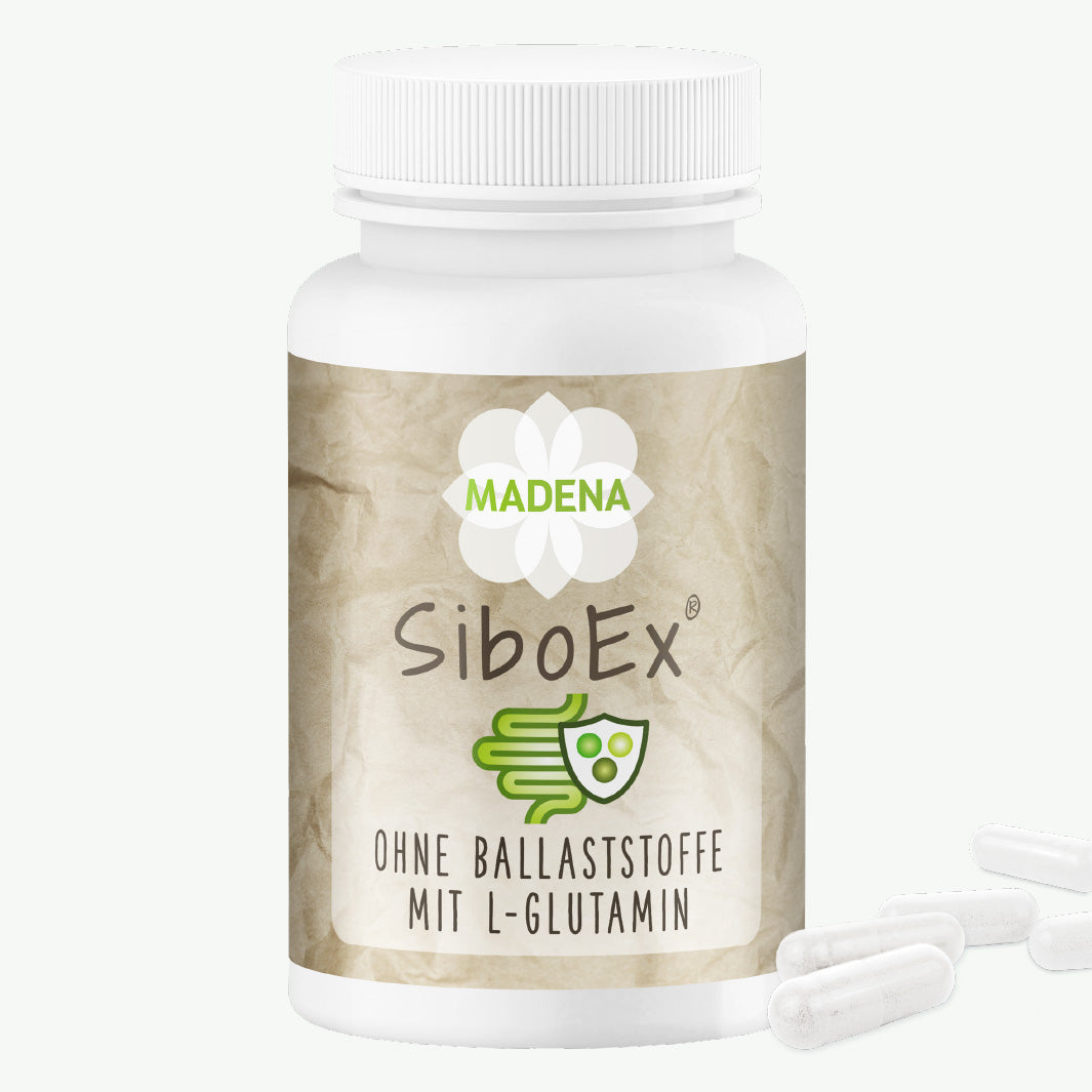 SIBO-Probiotika