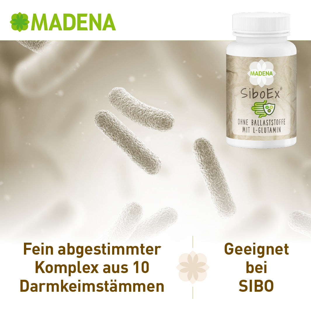 SIBO Darm