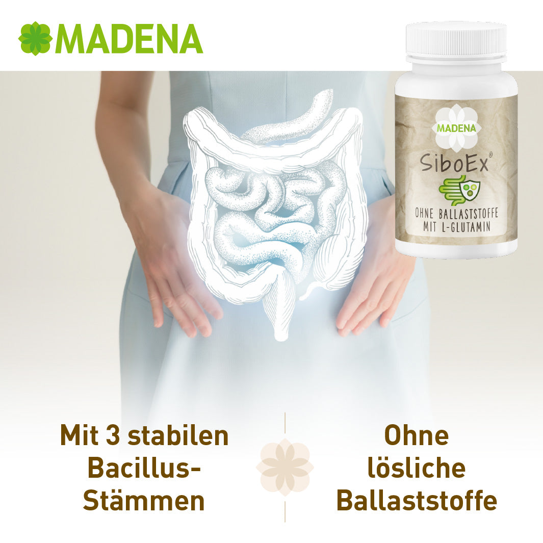 SIBO-Probiotika