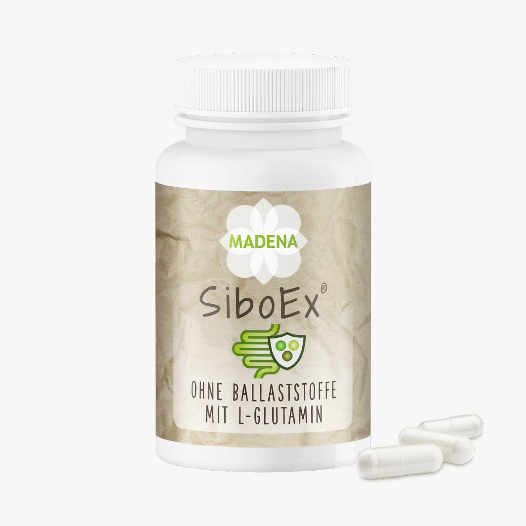 SIBO-Darmkur: SiboEx®