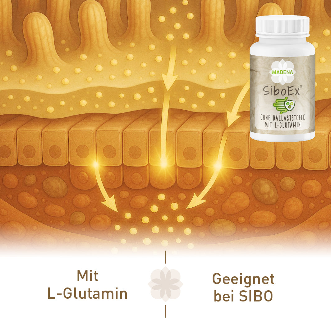 SIBO-Darmkur: SiboEx®