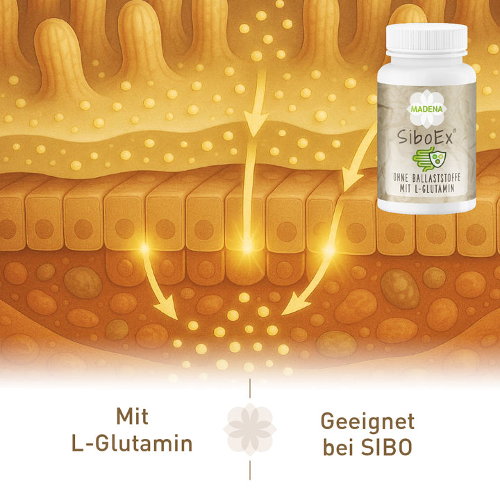 SIBO-Darmkur: SiboEx®
