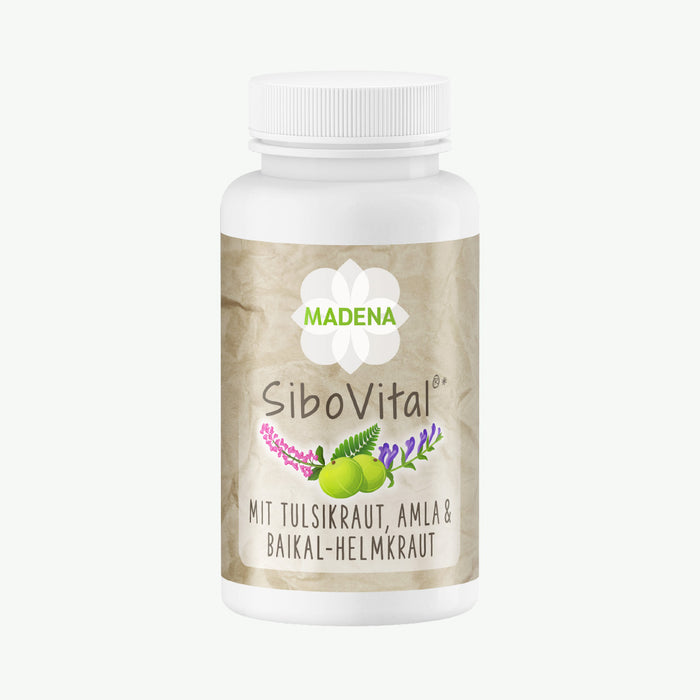 SIBO Therapie