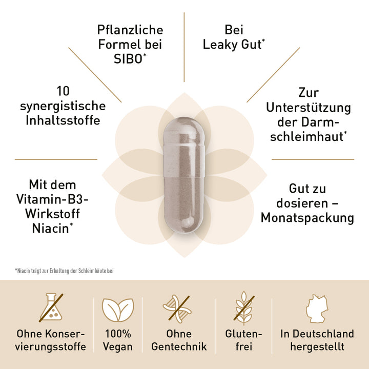 SIBO-Komplett-Paket
