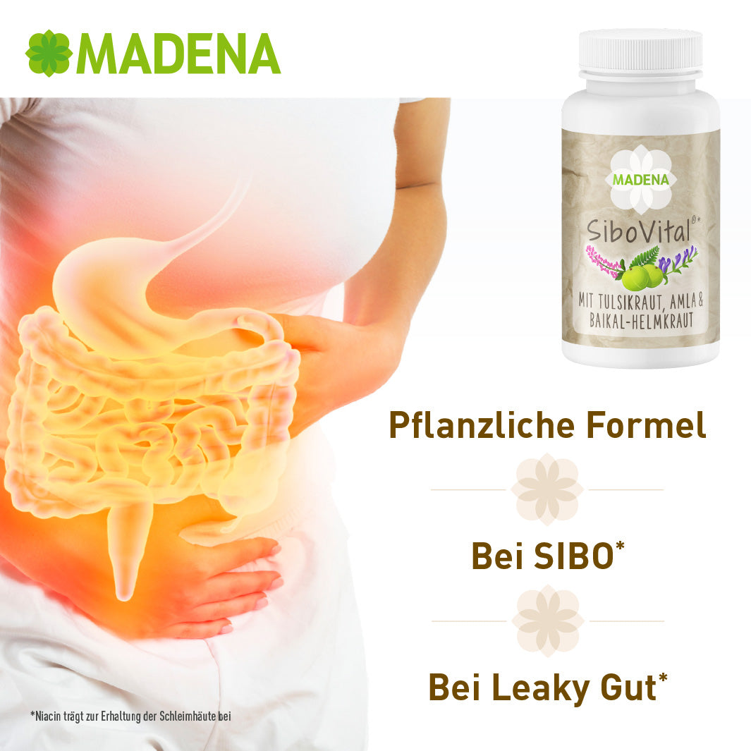 Pflanzenstoffe SIBO