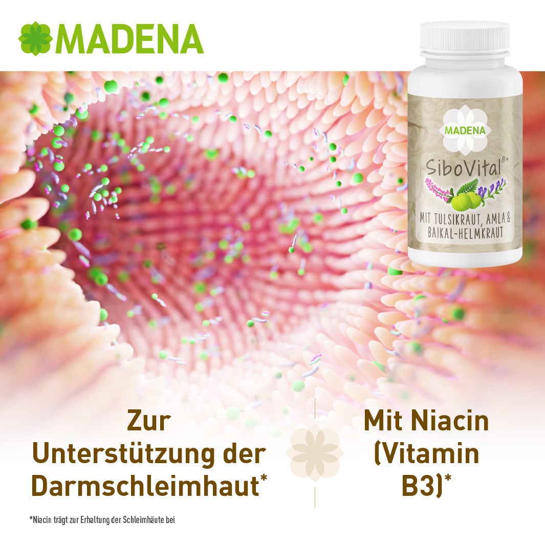 SIBO-Kapseln