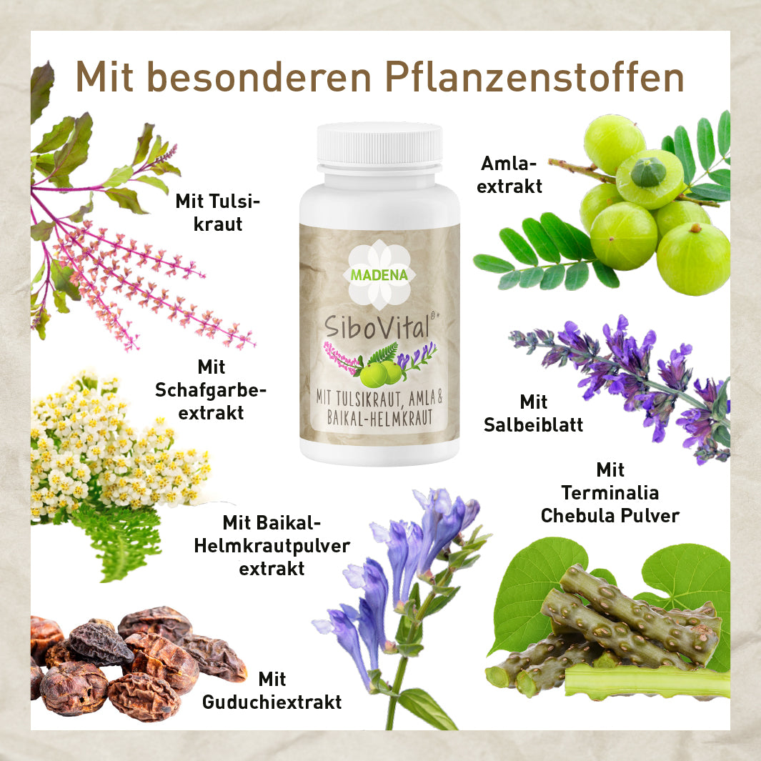 SiboVital®: Besonderer Pflanzenkomplex