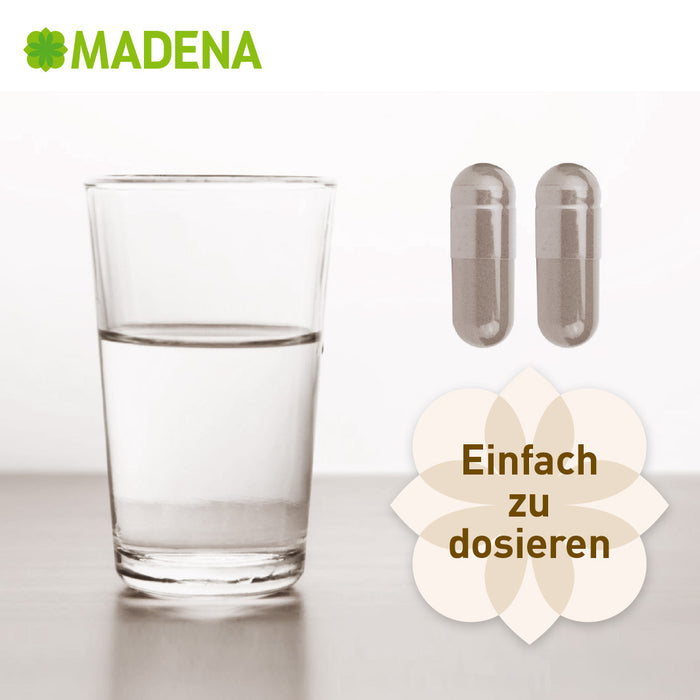 SiboVital®: Besonderer Pflanzenkomplex