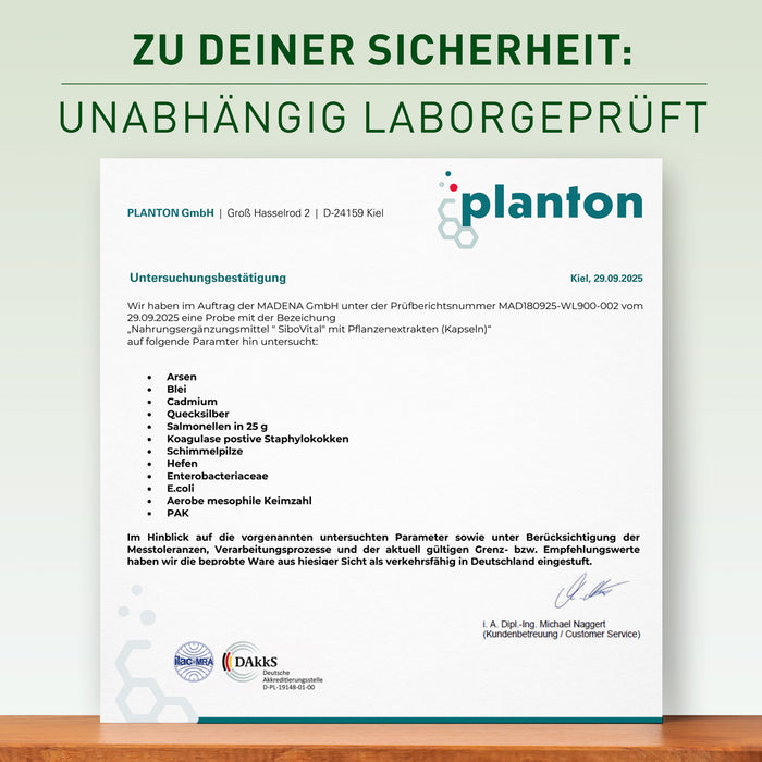 SiboVital®: Besonderer Pflanzenkomplex