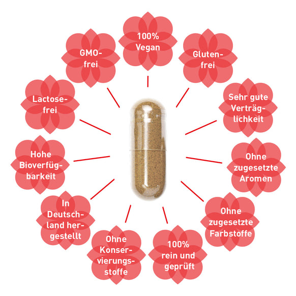 Eisen-Vitamin C Kapseln bei Eisenmangel