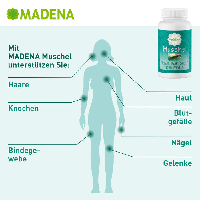 Grünlippmuschel Wirkung