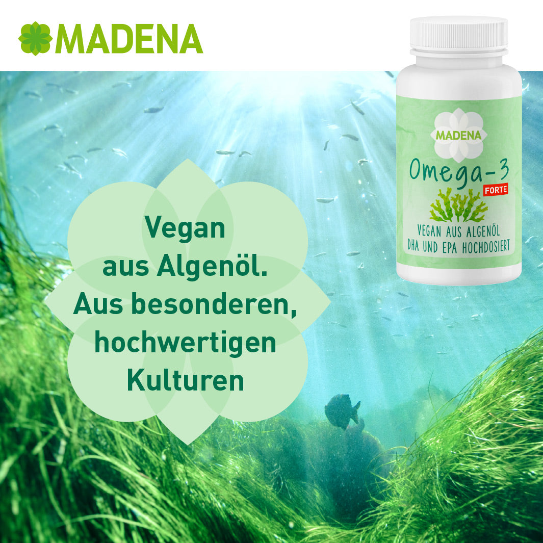 omega 3 alge
