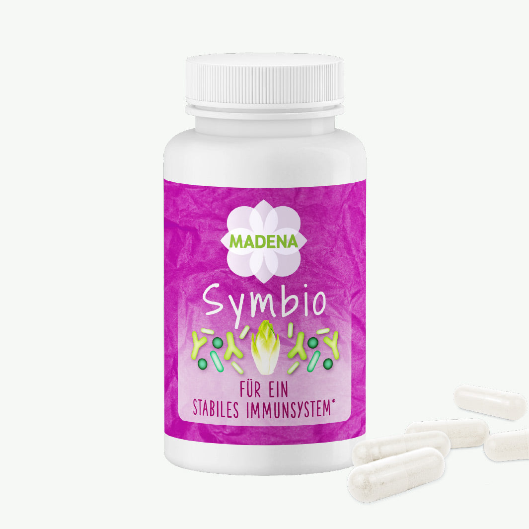 darm immunsystem