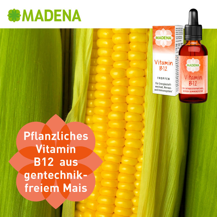 vitamin b12 kur